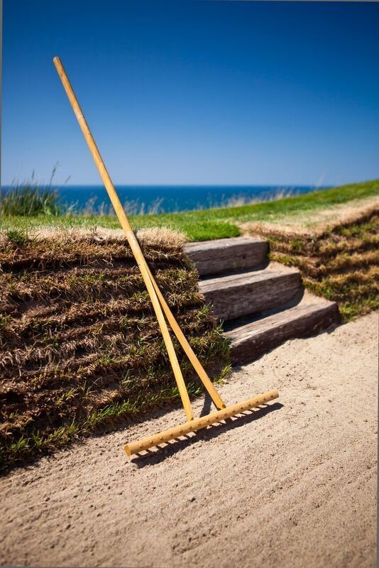 Bunker Rake Picture